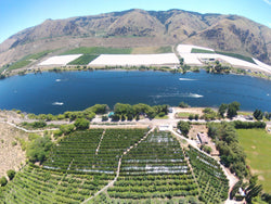 Allview Orchards Columbia River